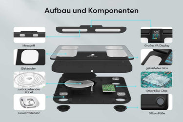 zeichnung einer Körperanalyse-Waage mit Messgriff, großem VA-Display, gehärtetem Glas, zurückziehbarem Kabel, Gewichtssensor, Smart BIA-Chip und Silikonfüßen. Ideal als Ergänzung für Eisbäder, Kältetherapie und Outdoor-Kälteanwendungen.